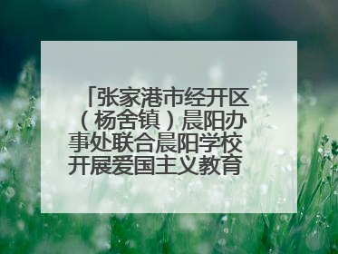 张家港市经开区（杨舍镇）晨阳办事处联合晨阳学校开展爱国主义教育主题升旗活动